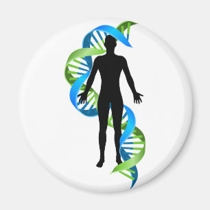 Double Helix DNA Chromosome Strand Human Figure Magnet