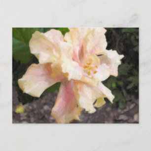 Double Hibiscus Postcard
