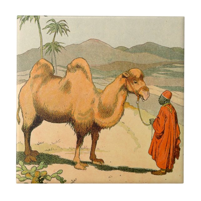Double-Hump Camel in the Mongolian Desert Ceramic Tile (Front)