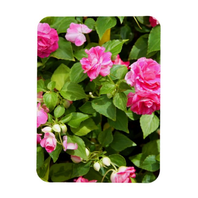 Double Impatiens Flexible Magnet (Vertical)
