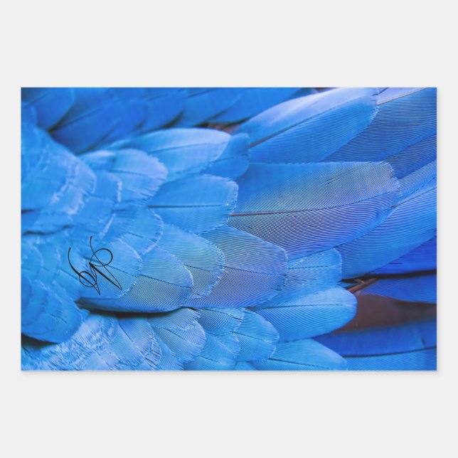 Double initials monogrammed blue feather wing bird wrapping paper sheet (Front)