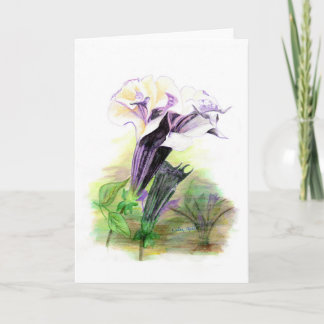 Double Lavender Angel Trumpet Greeting Card