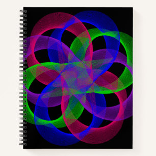 Double Loop Mesh Geometric Notebook