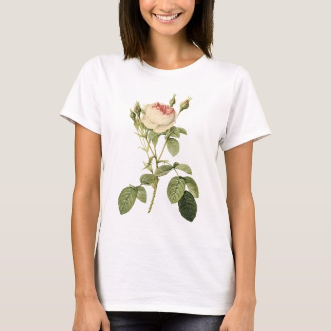 double moss rose by Redouté T-Shirt (Front)