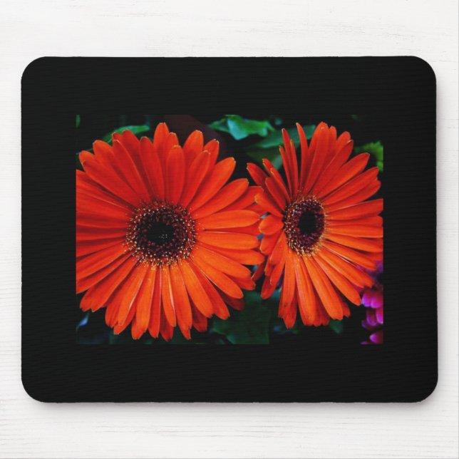 double orange colour daisy flowers mouse pad (Front)
