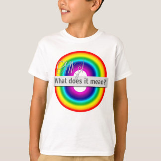 Double Rainbow: OMG! What does it mean? T-Shirt