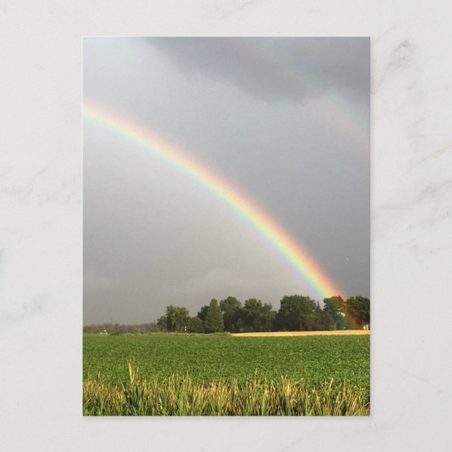 Double Rainbow over New Jersey Field Postcard (Front)