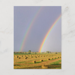 Double Rainbow Postcard