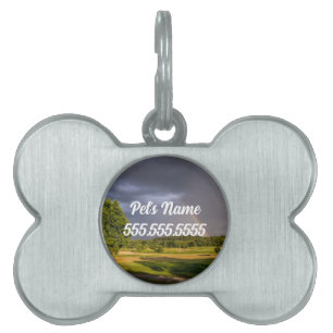 Double Rainbow Through Rain Pet ID Tag