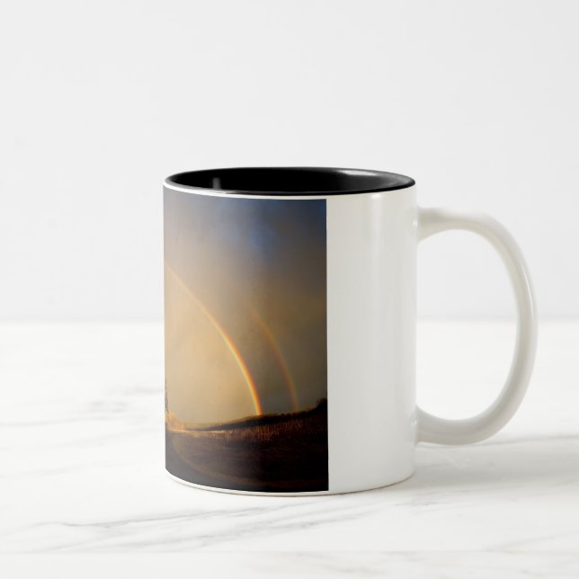 Double Rainbow Two-Tone Coffee Mug (Right)