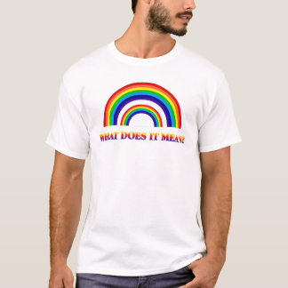 Double Rainbow. What does it mean? T-Shirt