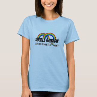 double rainbow - what does it mean? T-Shirt
