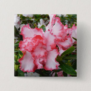 Double Red and White Azaleas Spring Floral 15 Cm Square Badge