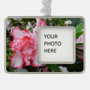 Double Red and White Azaleas Spring Floral Silver Plated Framed Ornament