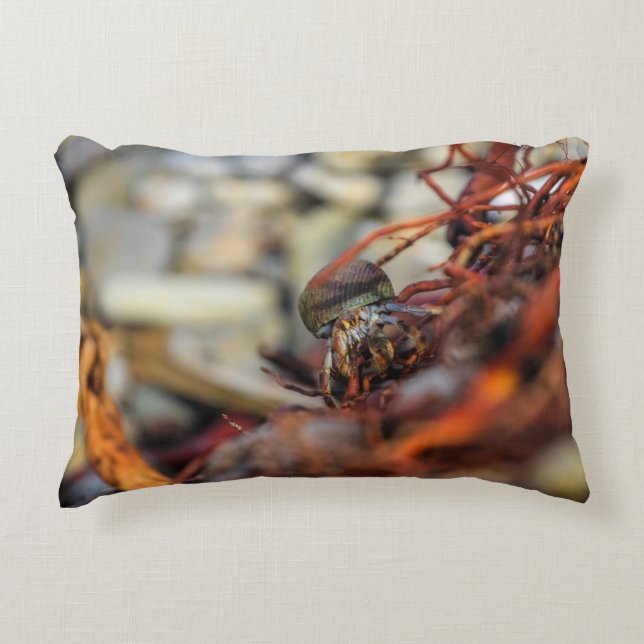 Double Sided Hermit Crab Pillow (Front)