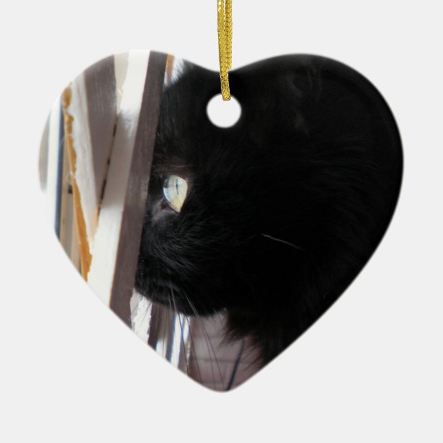 Double Sided Ornament featuring Smoky (Front)