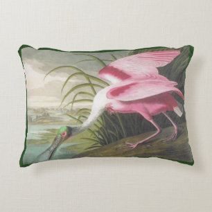 Double-sided Pink Green Audubon Spoonbill Bird Decorative Cushion