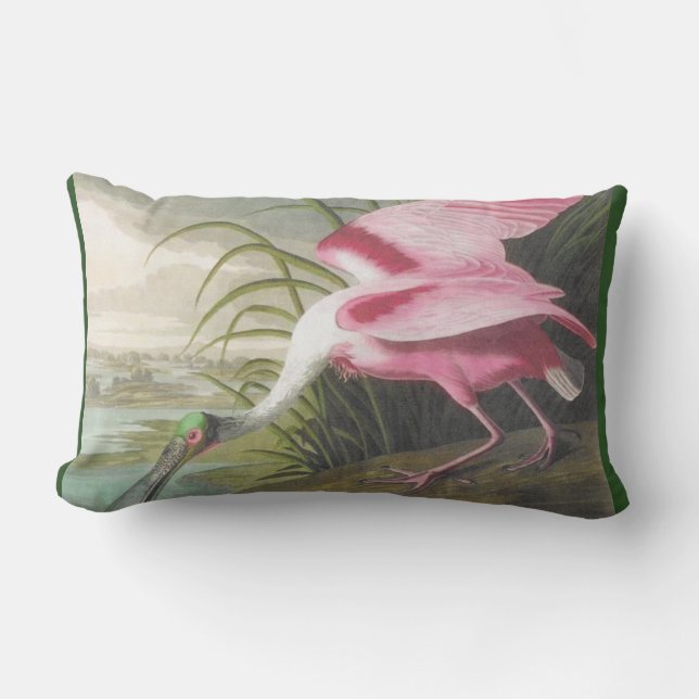 Double-sided Pink Green Audubon Spoonbill Bird Lumbar Cushion (Front)