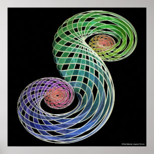 Double Spiral Poster