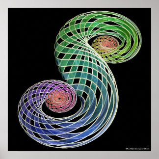 Double Spiral Poster