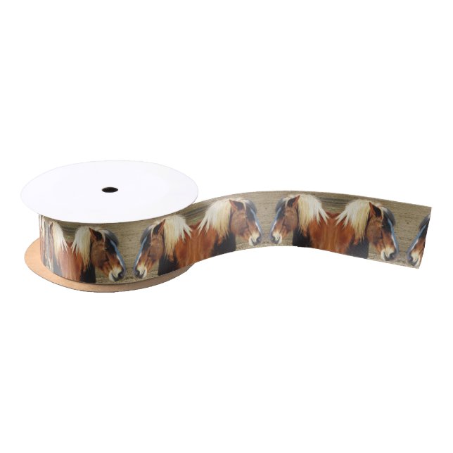 Double Take Horse Craft Ribbon Satin Ribbon (Spool)