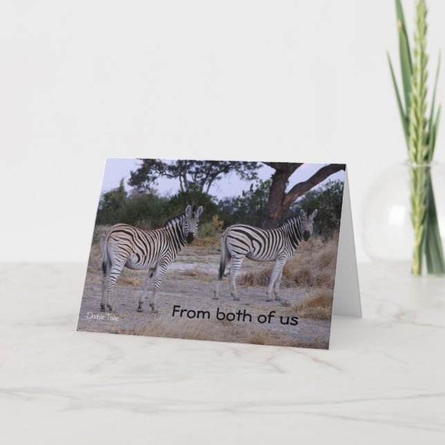 Double Take Zebra Birthday Card (Front)