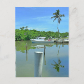 Double The Beauty Postcard