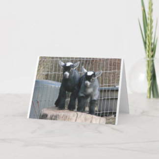 Double Trouble Card