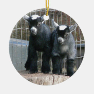 Double Trouble Ceramic Ornament