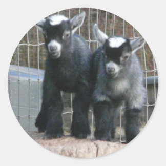 Double Trouble Classic Round Sticker