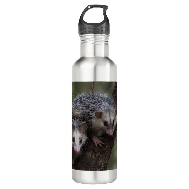 Double Trouble in the Canopy: Twin Possums 710 Ml Water Bottle (Front)