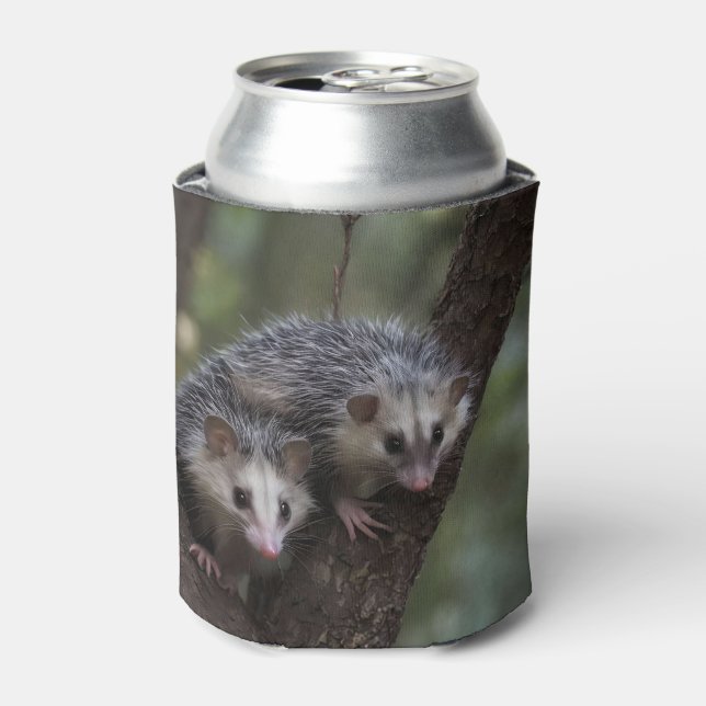 Double Trouble in the Canopy: Twin Possums Can Cooler (Can Front)
