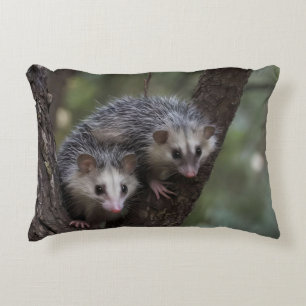 Double Trouble in the Canopy: Twin Possums Decorative Cushion
