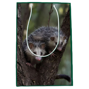 Double Trouble in the Canopy: Twin Possums Medium Gift Bag
