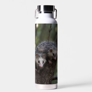Double Trouble in the Canopy: Twin Possums Water Bottle