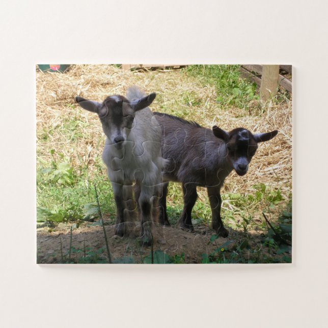 "Double Trouble" Jigsaw Puzzle (Horizontal)