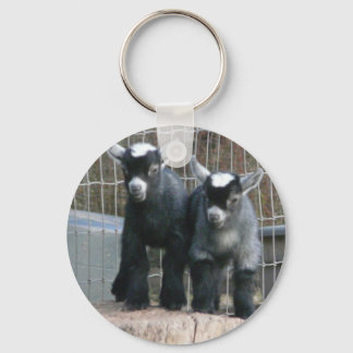 Double Trouble Key Ring