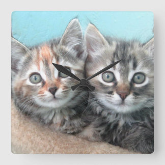 Double Trouble Kitten Clock