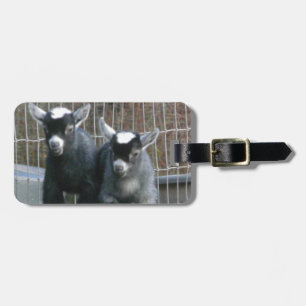 Double Trouble Luggage Tag