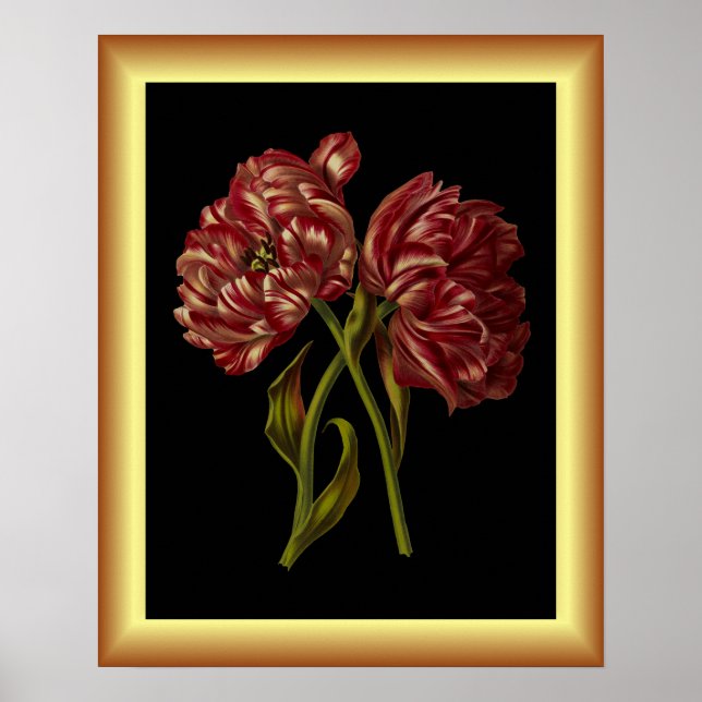 Double Tulips ~ Botanical Art Print ~  (Front)