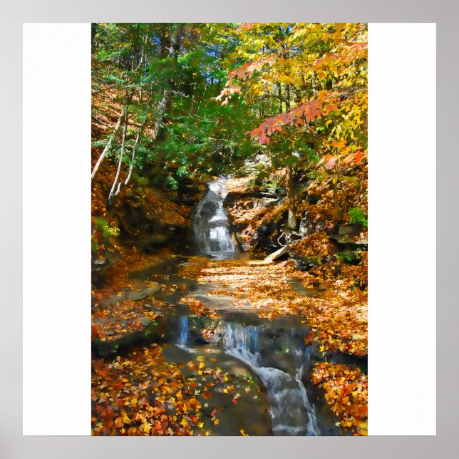 Double Waterfalls Poster/Print Poster (Front)