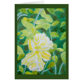 Double white hibiscus flower watercolor