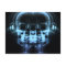 Double X-Ray Skulls with Headphones - Blue