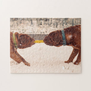Douge De Bordeaux Tug of War Jigsaw Puzzle