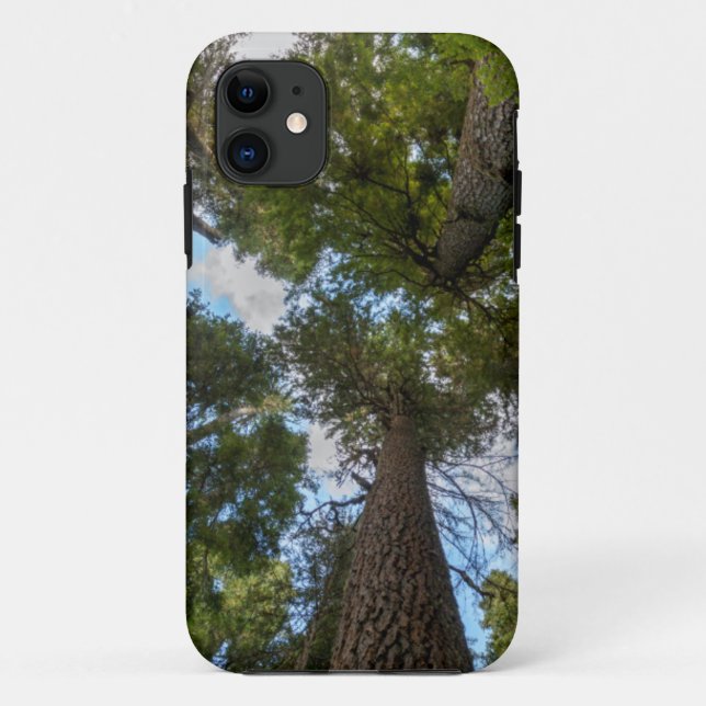 Douglas Fir tree canopy Case-Mate iPhone Case (Back)