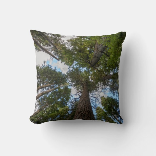 Douglas Fir tree canopy Cushion (Front)