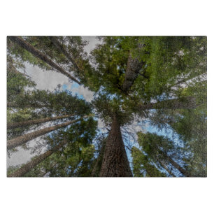 Douglas Fir tree canopy Cutting Board