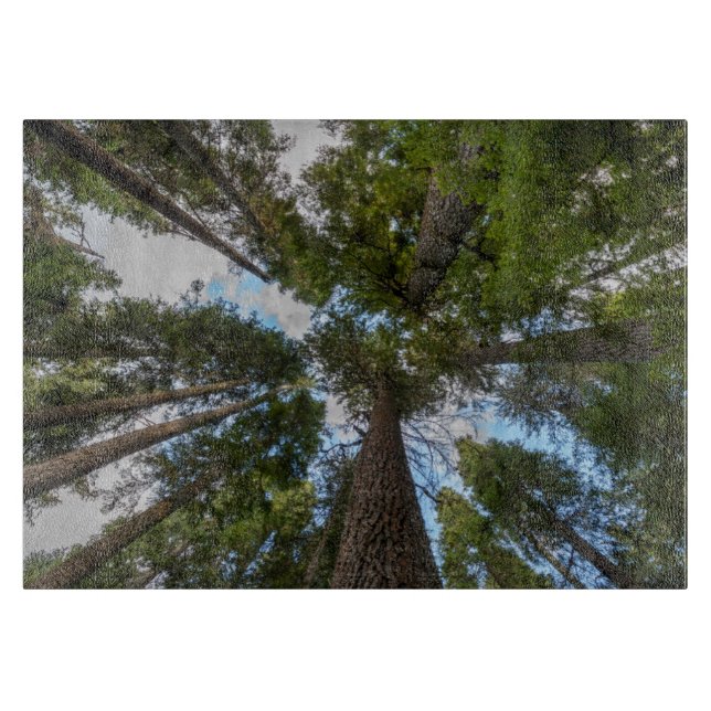Douglas Fir tree canopy Cutting Board (Front)