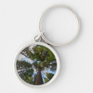 Douglas Fir tree canopy Key Ring