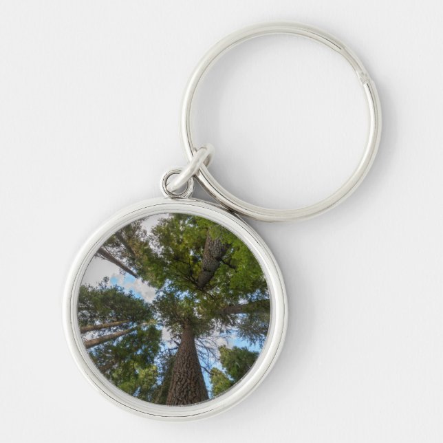 Douglas Fir tree canopy Key Ring (Front)